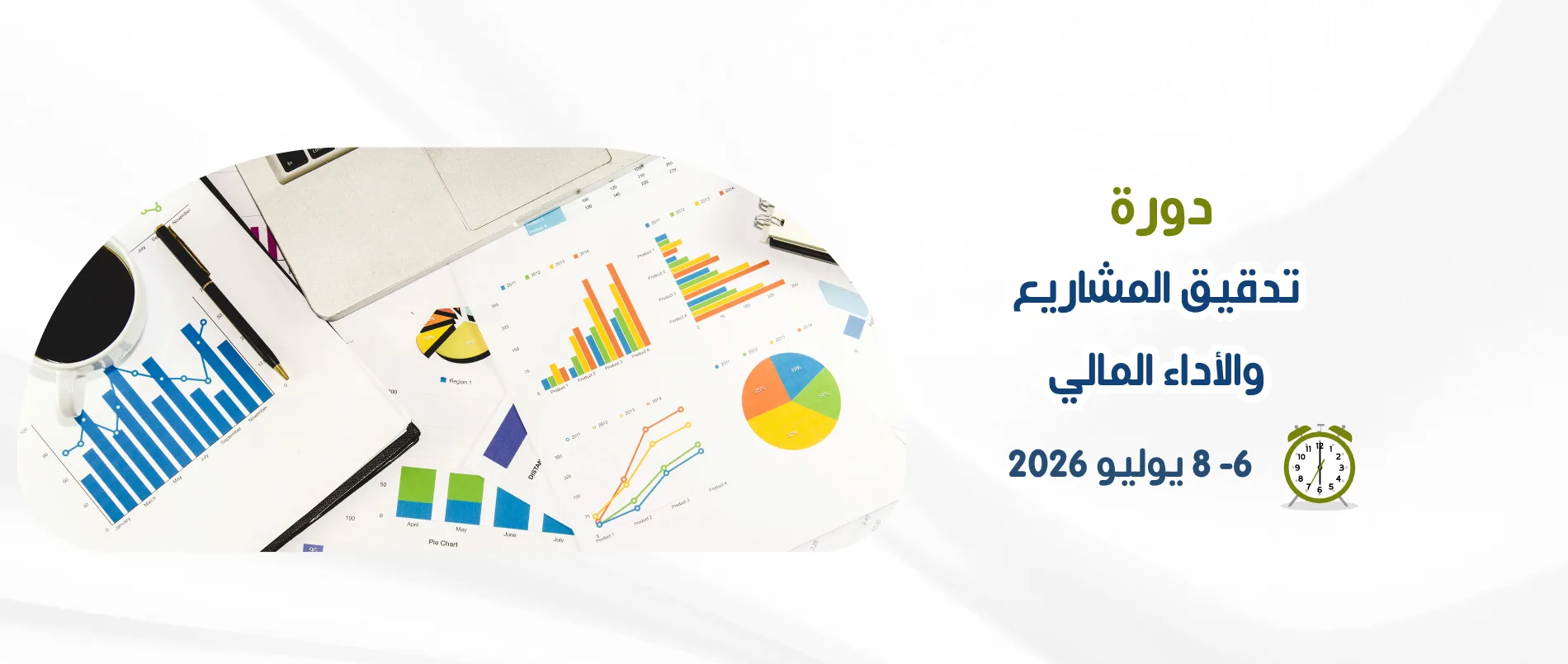 project-financial-audit
